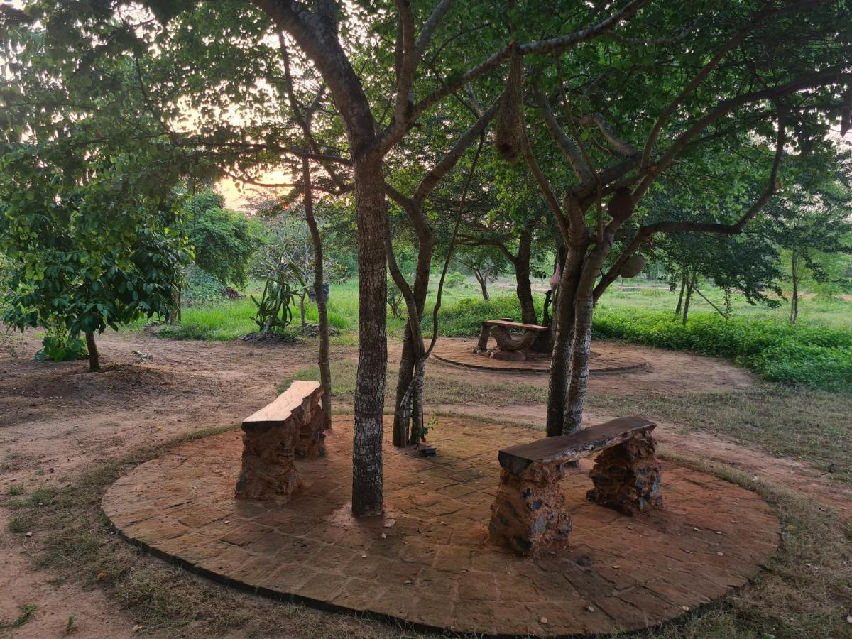Ranakeliya Lodge - יאלה מראה חיצוני תמונה