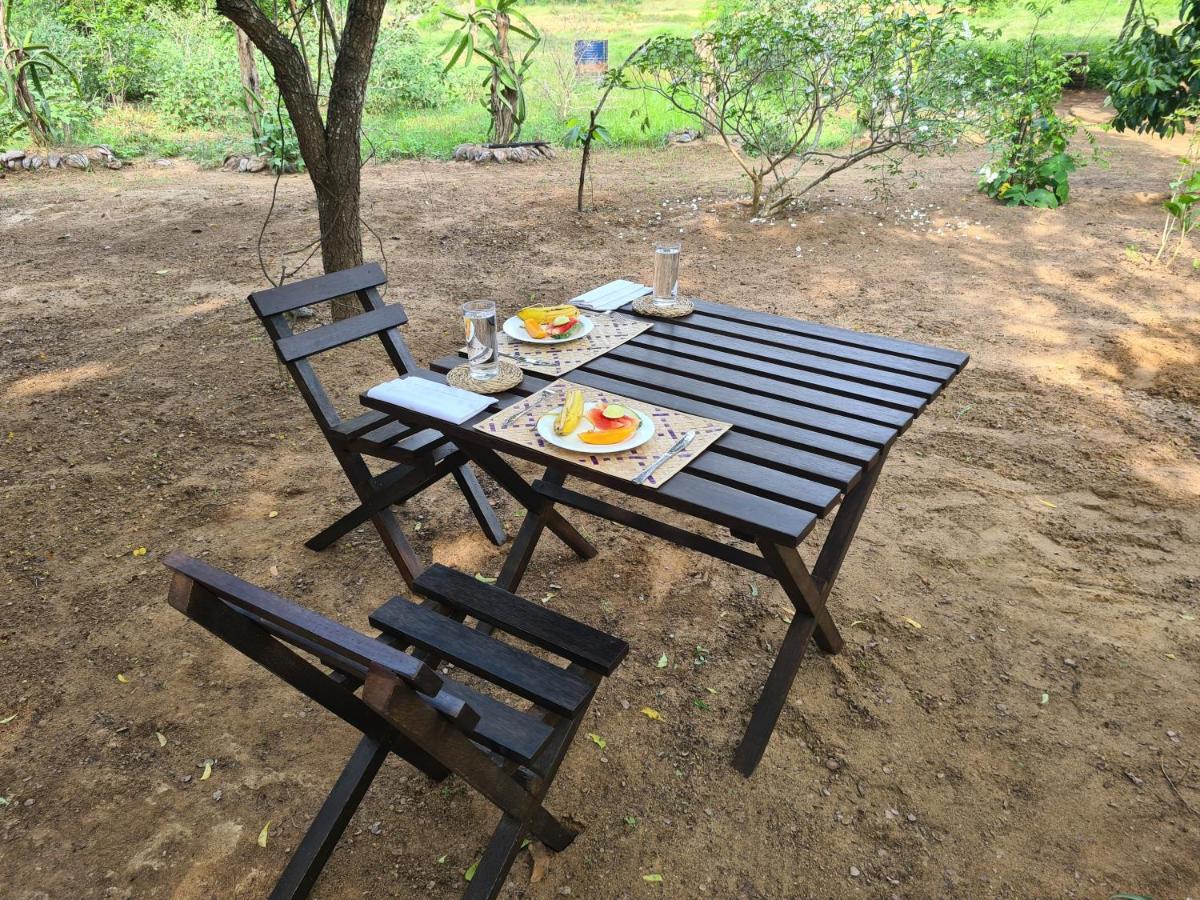 Ranakeliya Lodge - יאלה מראה חיצוני תמונה