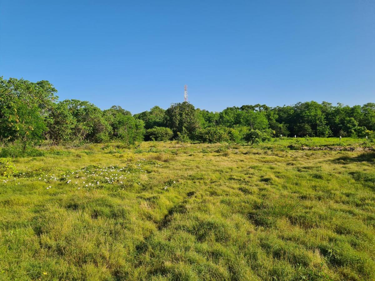 Ranakeliya Lodge - יאלה מראה חיצוני תמונה