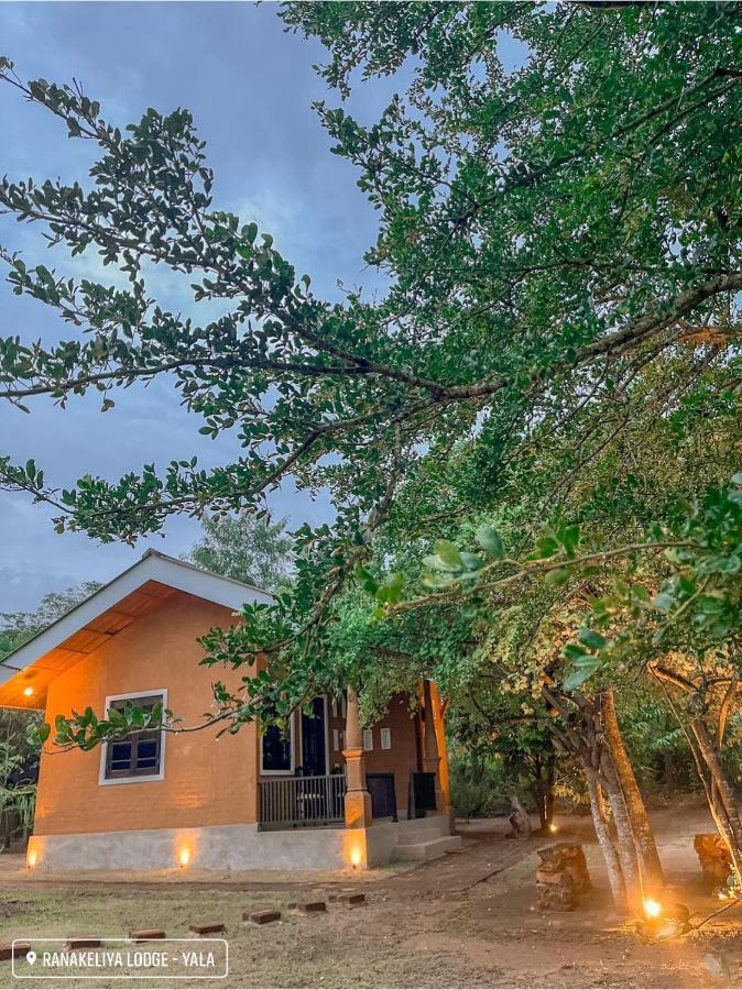 Ranakeliya Lodge - יאלה מראה חיצוני תמונה