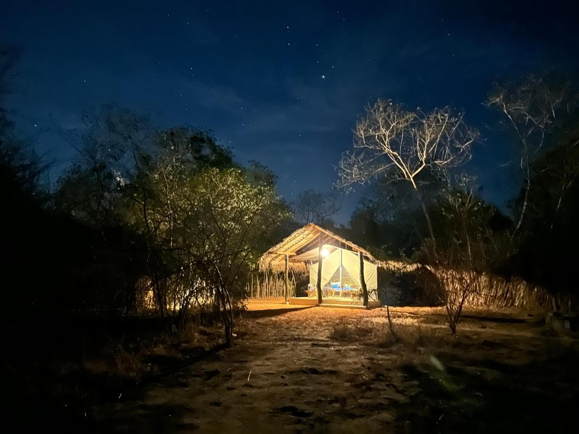 Ranakeliya Lodge - יאלה מראה חיצוני תמונה