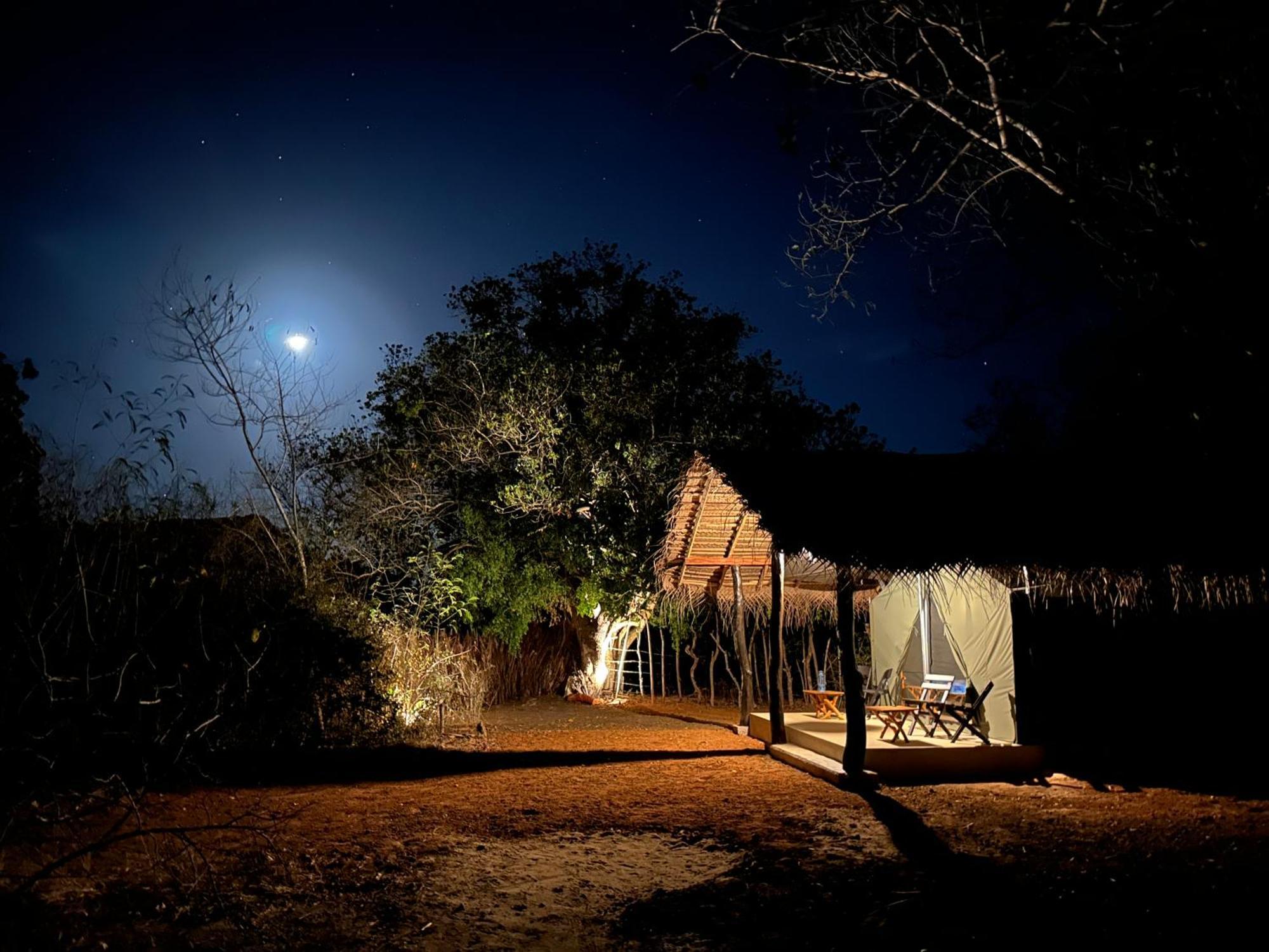 Ranakeliya Lodge - יאלה מראה חיצוני תמונה