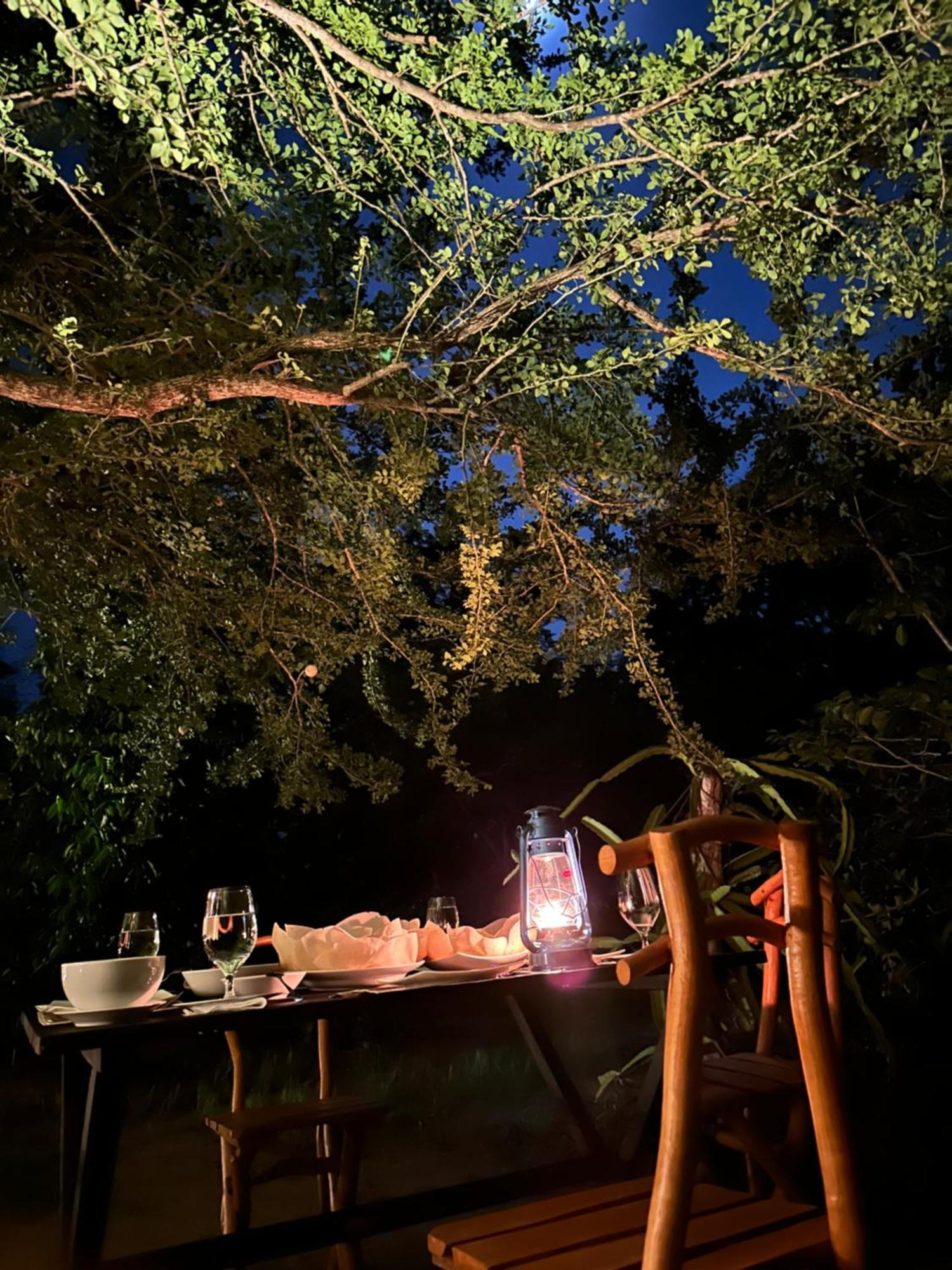 Ranakeliya Lodge - יאלה מראה חיצוני תמונה